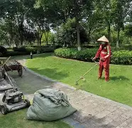 IM电竞官方网站下载-开拓者队员