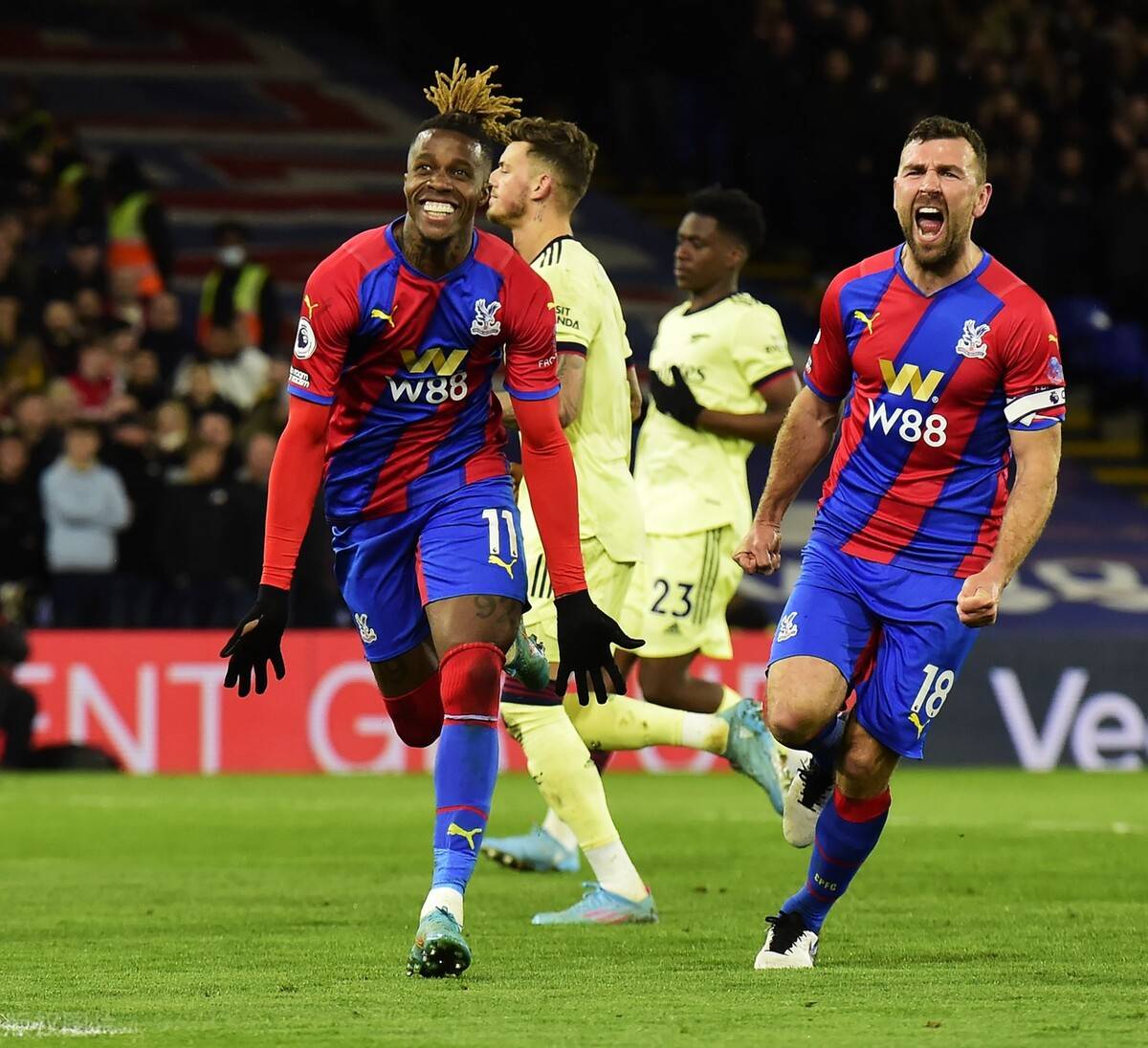 布莱顿主帅赫尔泽勒