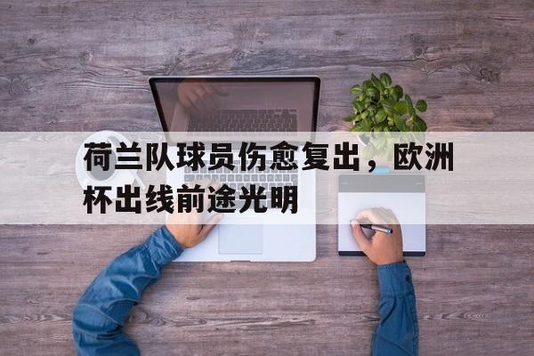 IM电竞游戏平台-荷兰足球队欧洲杯名单